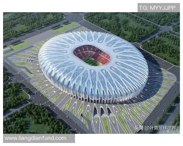 恒大足球老板的商业帝国与中国足球未来的深度关联分析 恒大足球老板的商业帝国与中国足球未来的深度关联分析